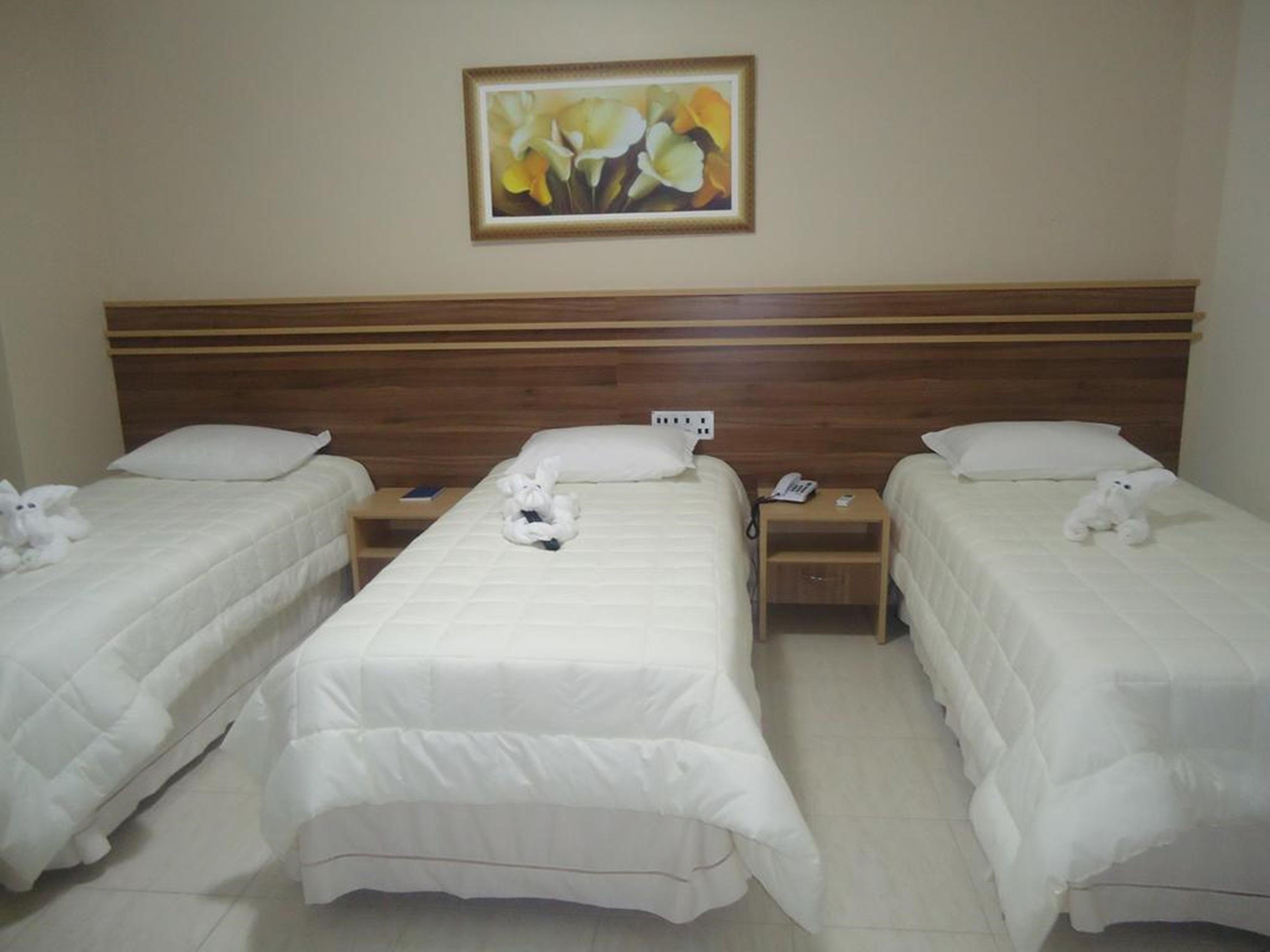 Hotel Dom Baroni Guarapuava Kültér fotó