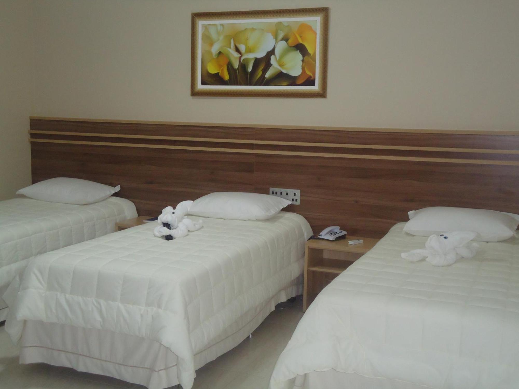 Hotel Dom Baroni Guarapuava Kültér fotó